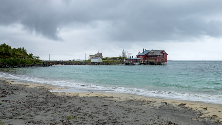 Bøvær. Foto Trine Kanter Zerwekh, Statens vegvesen