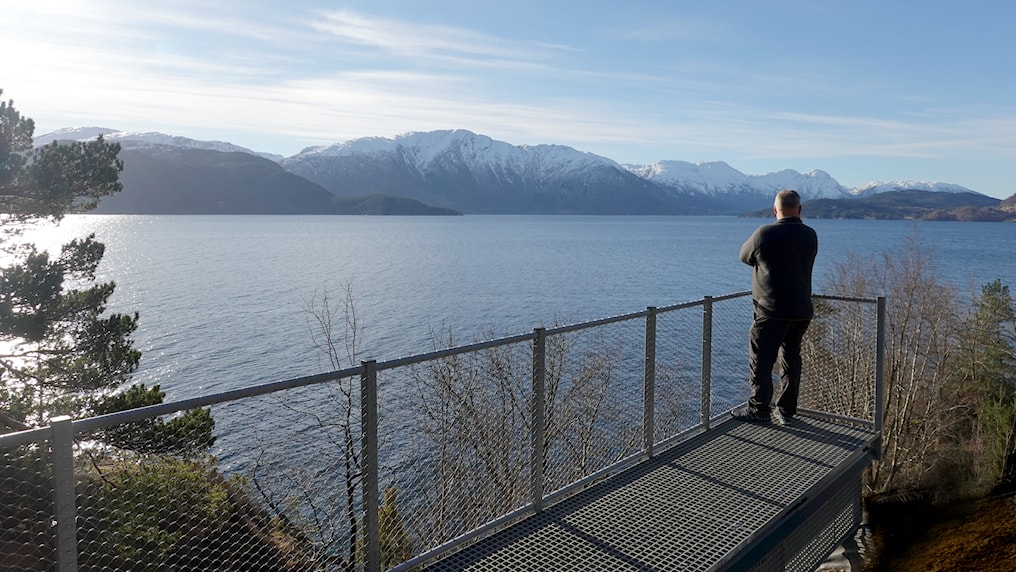 Mann auf Aussichtsplattform blickt über den Hardangerfjord.