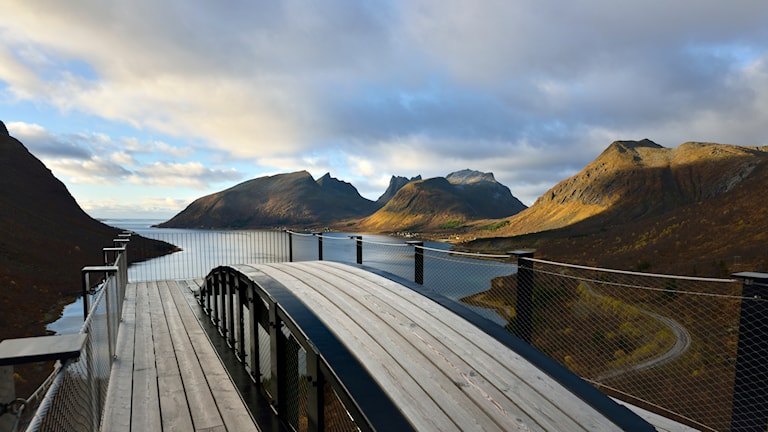 Nordlys ved utsiktspunktet Bergsbotn.
