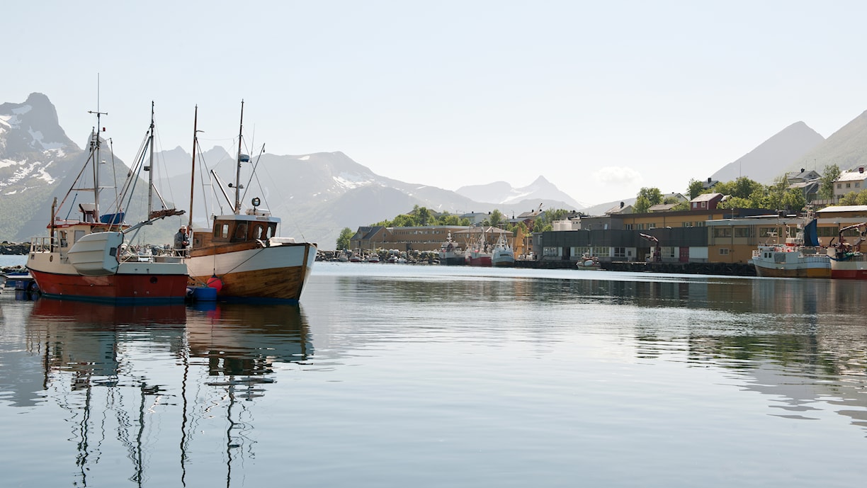 Husøy. Norwegische Landschaftsroute Senja. 