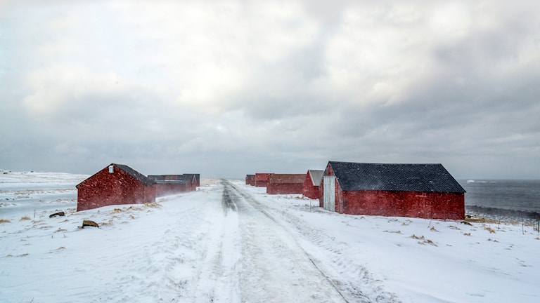 Eggum. Norwegische Landschaftsroute Lofoten.
