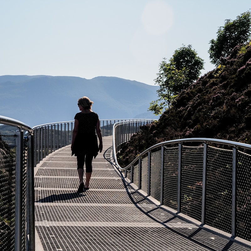 From the wheelchair-accessible path