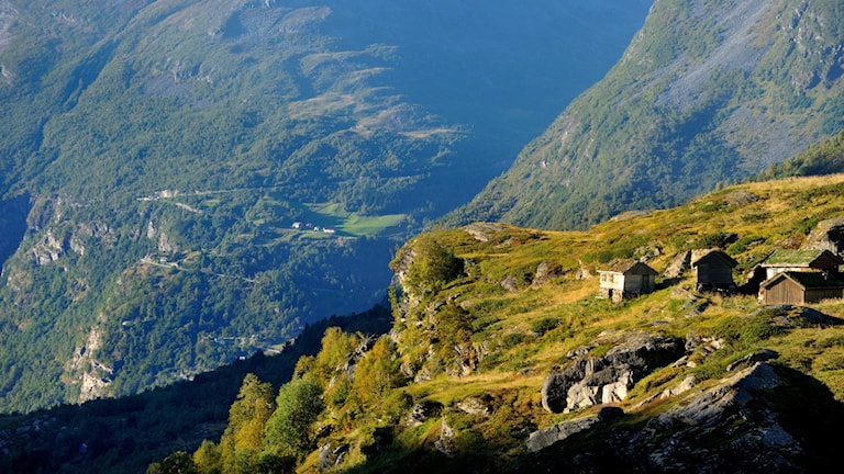 Kvanndalssætra. Norwegische Landschaftsroute Geiranger - Trollstigen.