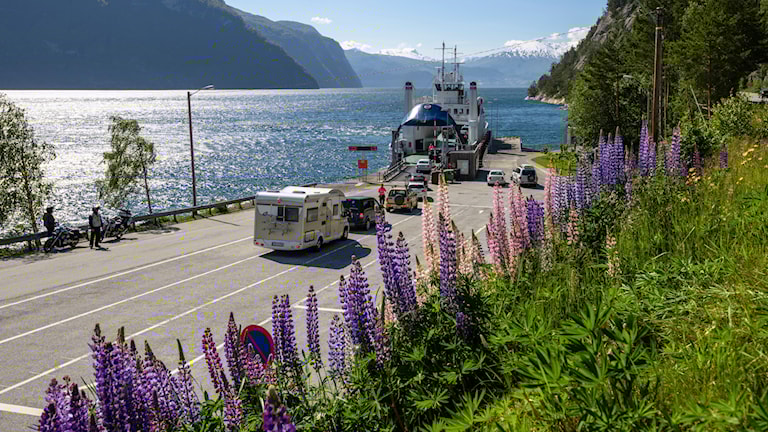 Linge. Norwegische Landschaftsroute Geiranger - Trollstigen.