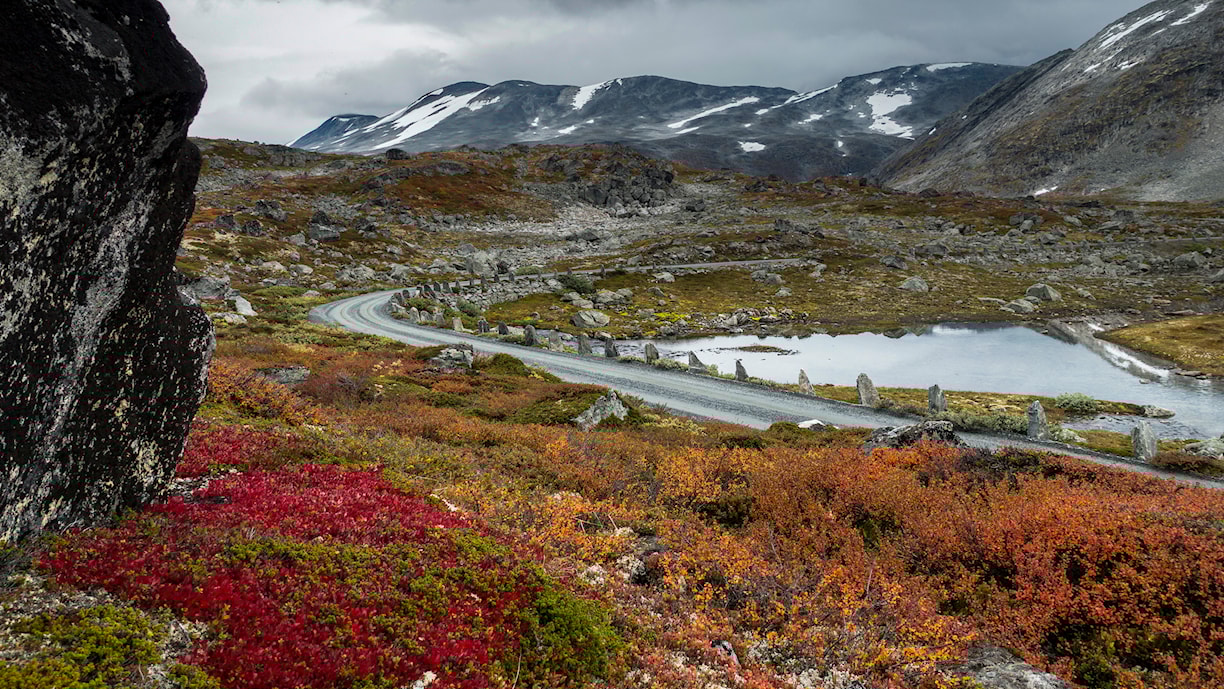 Vassvendtjønnin. Norwegische Landschaftsroute Gamle Strynefjellsvegen.