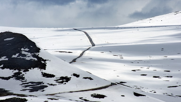 Smørkoll, Garli. Norwegische Landschaftsroute Valdresflye.