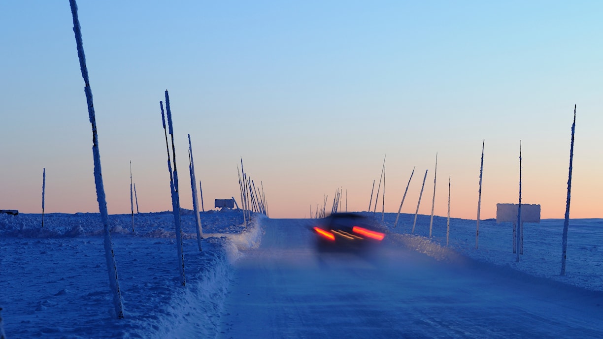 Garli. Norwegische Landschaftsroute Valdresflye.