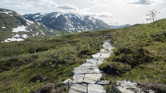 Torsnesstølen.