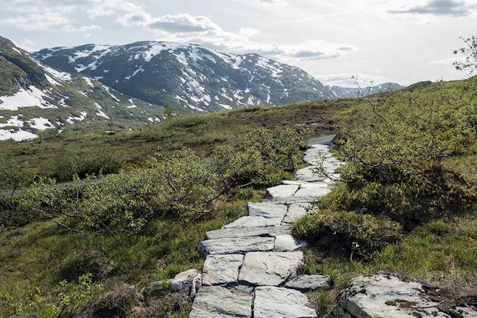 Torsnesstølen.