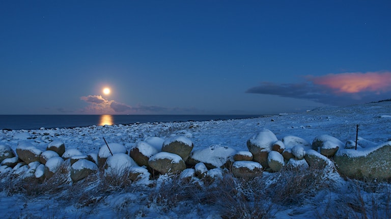 Varhaug.